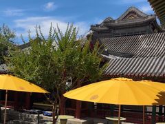 -宫事颐庭·老佛爷贵寿下午茶(颐和园店)