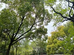 -西园戒幢律寺