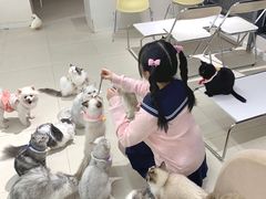 -怪兽屋·羊驼·猫咖·狗咖(俊华广场店)