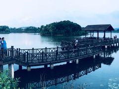 -上海市保健医疗中心(华东疗养院)