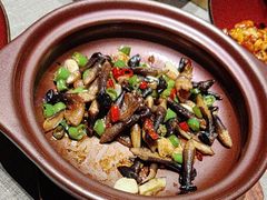 -青年星厨烤鸭店(星城店)