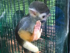 -荆州中山公园动物园