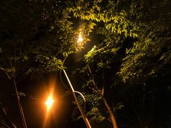 -河南师范大学(主校区)