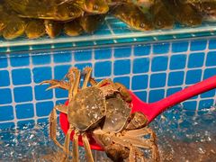 -焰江山海鲜牛排烤肉自助(锦华万达二星店)