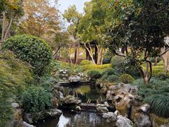 -杭州西子湖四季酒店-WL BISTRO西湖餐厅(灵隐路店)