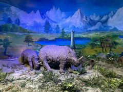 -中国第四纪冰川遗迹陈列馆