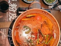 -滇牛云南火锅(桂林路店)