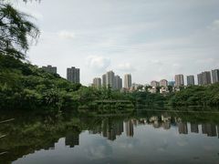 -重庆彩云湖湿地公园