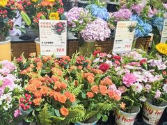 -鹿岛生活(熙地港店)