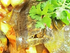 -洞庭家宴·头牌甲鱼(广渠门店)