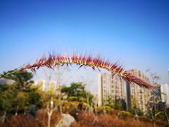 -白石龙音乐公园