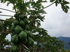 -七星潭蓝天广场