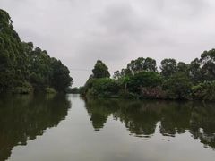 -江门古劳水乡旅游区