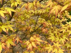 -千龙湖生态旅游度假区