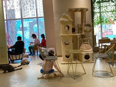 -藏猫猫咖啡主题馆(中央大道店)