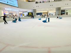 -TheRink大零溜冰场(IFS国金中心店)
