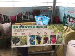 -普迪生态园