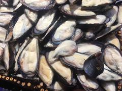 生蚝-吉布鲁牛排海鲜自助(成都大悦城店)