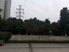 -重庆彩云湖湿地公园