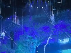 -广州长隆国际大马戏