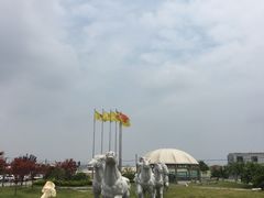 -胜华驾校·小猫学车(银都店)