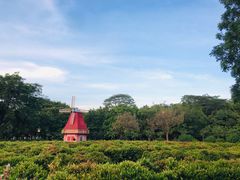 -东莞植物园
