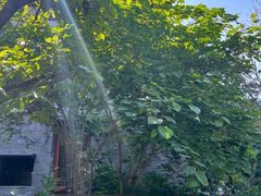 -西安华清御汤酒店