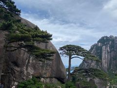 -黄山风景区