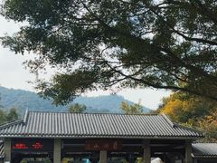 -鼎湖山风景区