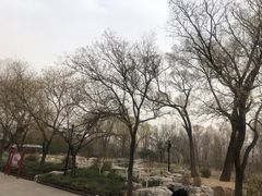 -晋祠公园