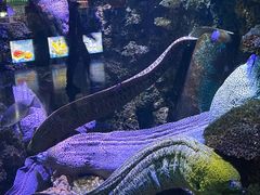 -海合安青岛极地海洋公园