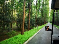 -崇明东平国家森林公园烧烤房车露营地