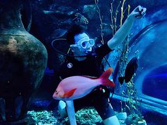 -太平洋海底世界