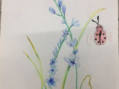 -上海峰子美术教育培训机构(杨浦店)