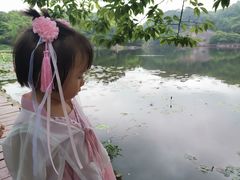 -广州市石门国家森林公园
