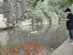 -楠溪江风景名胜区