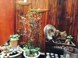 -游刃刺青TATTOO纹身工作室