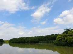 -大湾区中央湿地公园