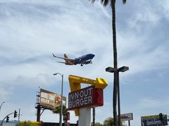 -In-N-Out Burger(LAX)