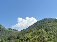 -新安江山水画廊风景区