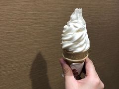 豆霜冰淇淋-永和大王(花好园店)