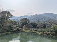 -树山生态村