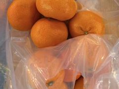 -西归浦每天偶来市场