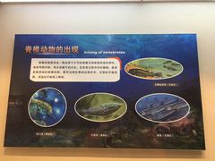 -甘肃地质博物馆