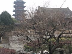 -苏州吴宫泛太平洋酒店