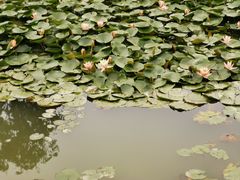 -华南国家植物园-售票处