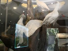 -下渚湖国家湿地公园科普馆