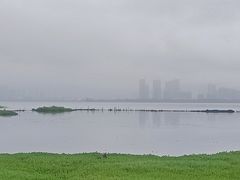 -洱海月湿地公园