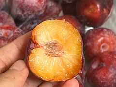 -绿叶水果(开福区马栏山店)