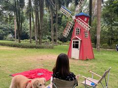 -南宁良凤江国家森林公园